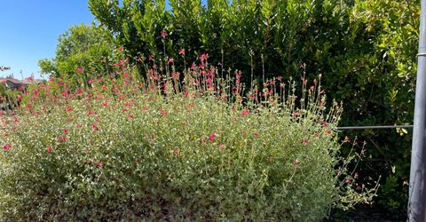 8162 Ryland Dr, El Dorado Hills, CA 95762 Photo
