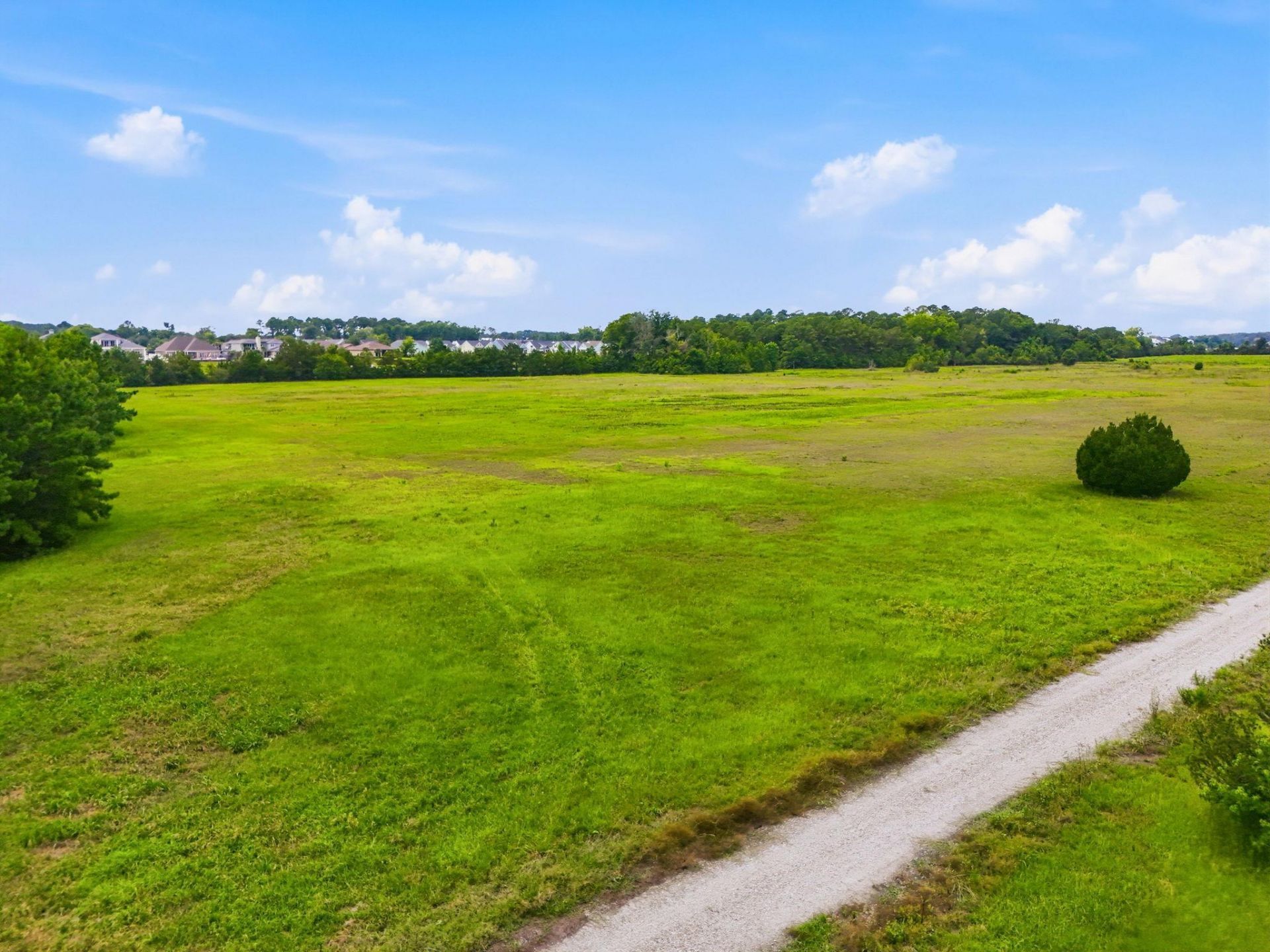 181.47 Acres Atlantic Breeze Dr. Photo 17