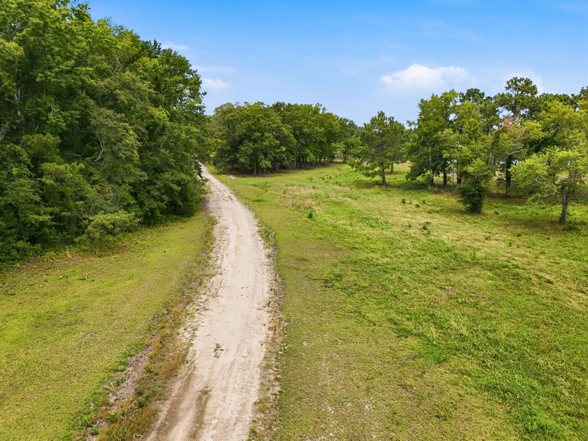 181.47 Acres Atlantic Breeze Dr. Photo 19