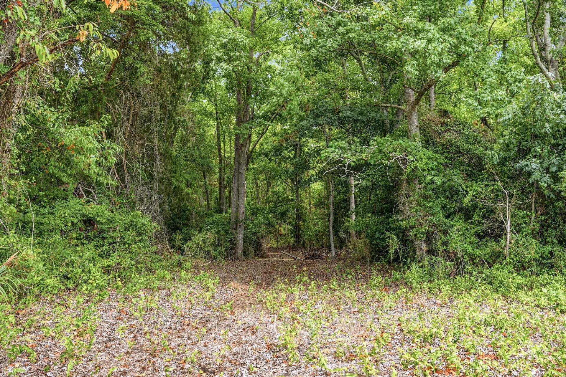 181.47 Acres Atlantic Breeze Dr. Photo 26