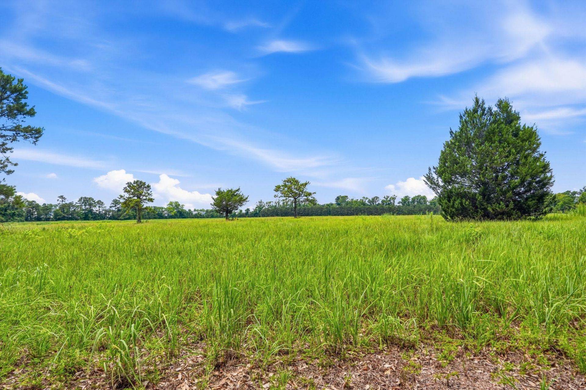 181.47 Acres Atlantic Breeze Dr. Photo 27