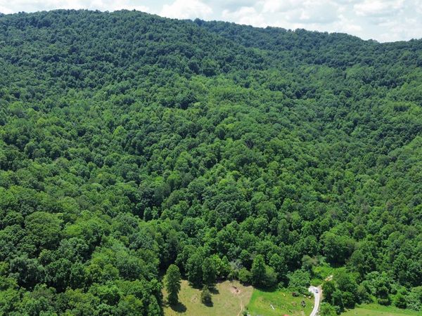 0000 Lick Creek Lane, LaFollette, TN 37766