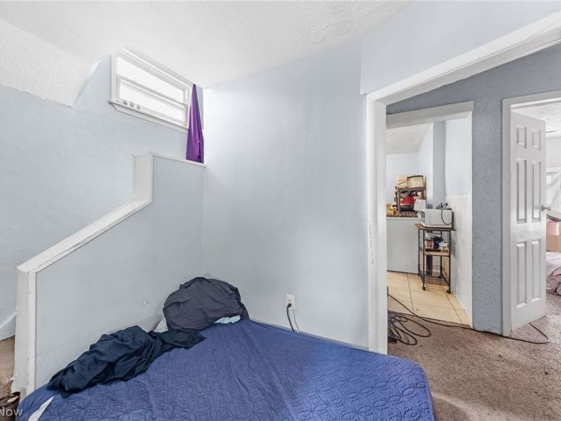 4311 Bush Avenue, Cleveland, OH 44109 Photo 27