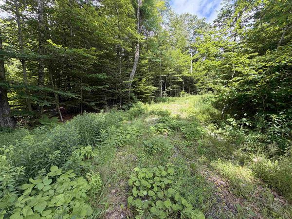 0 Route 100, Dover, VT 05356