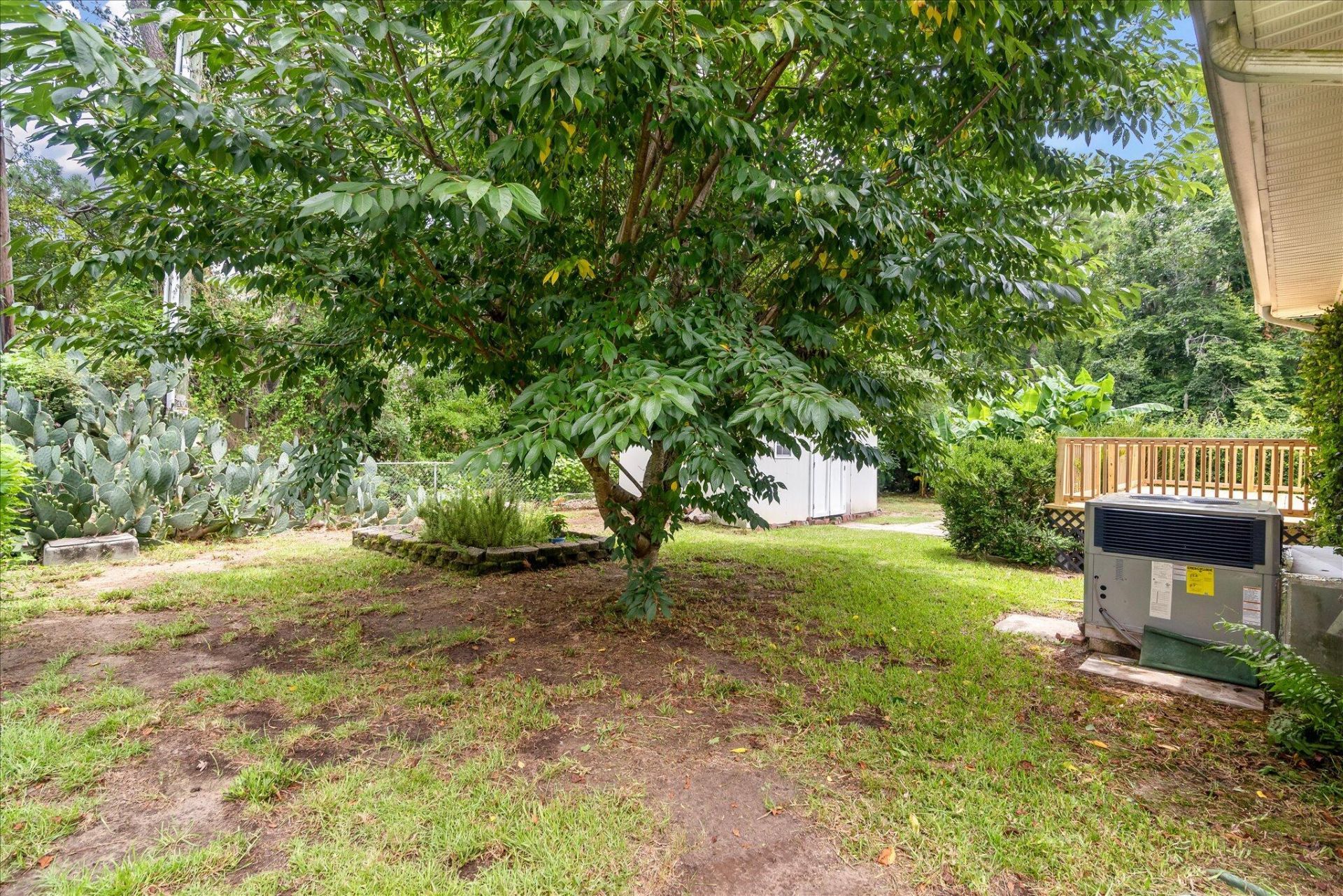 119 Pelican Street Photo 39