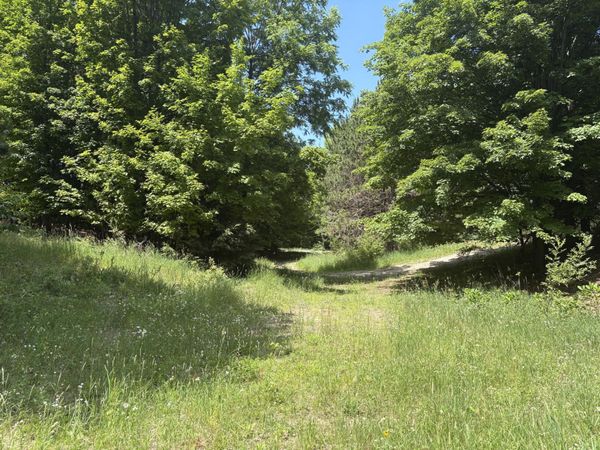 3475 Grace Road, Frankfort, MI 49635