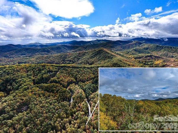 99999 Caddis Lane , Horse Shoe, NC 28742