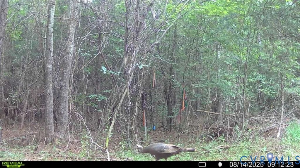 N/a Doswell Town Rd, Lunenburg, VA 23952 Main Photo