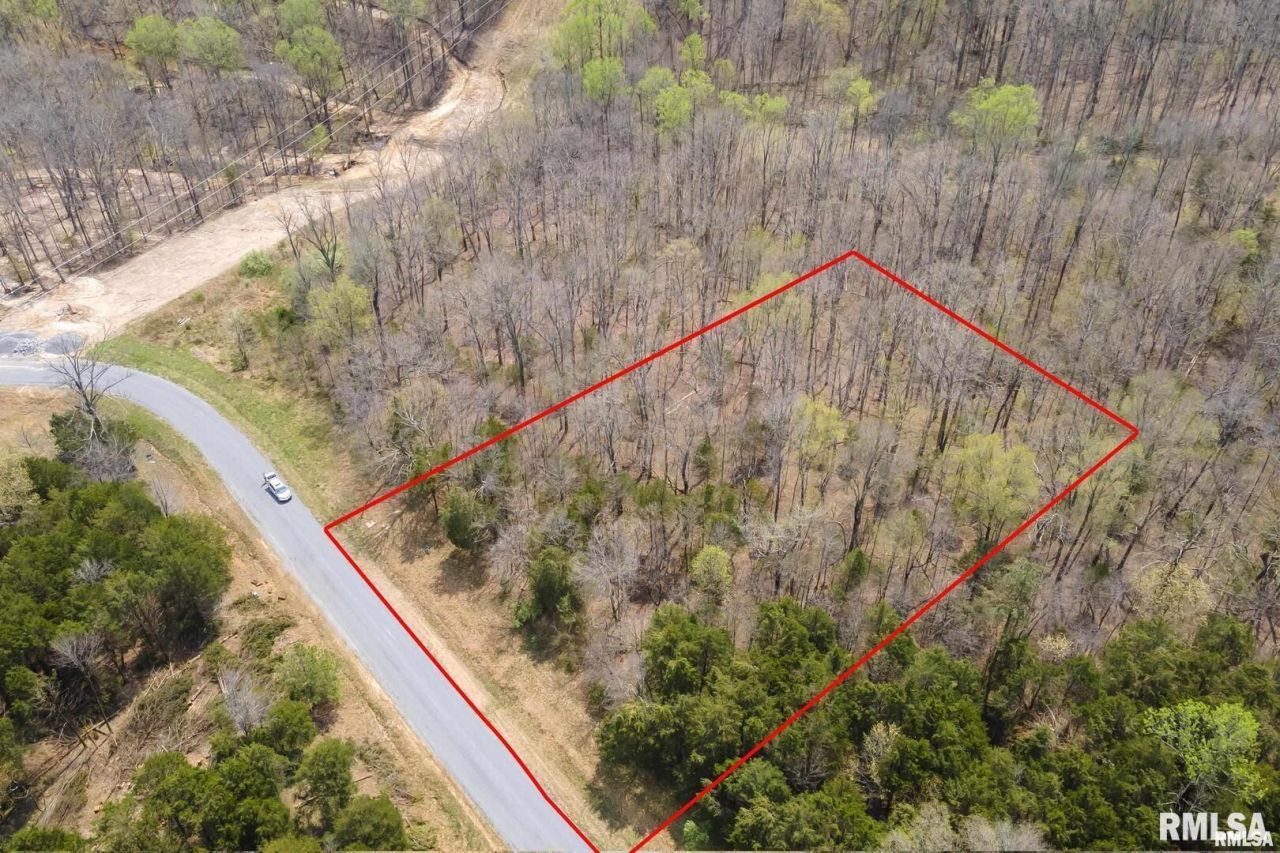 Lot 341 & 342 Clifty Lane, Goreville, IL 62939 Main Photo