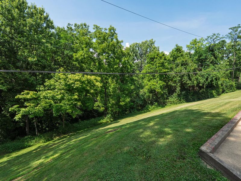 3685 Mockingbird Lane, Alexandria, KY 41001 Photo 38