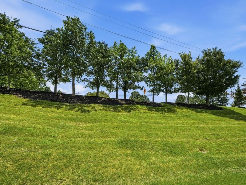 2016 Tanners Cove Road, Hebron, KY 41048 Photo 36