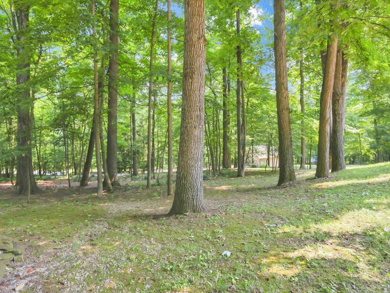8970 Loches Road , Saint Louisville, OH 43071 Photo 52