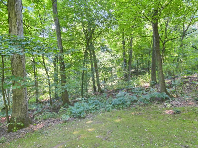 8970 Loches Road , Saint Louisville, OH 43071 Photo 77