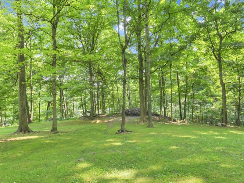 8970 Loches Road , Saint Louisville, OH 43071 Photo 78