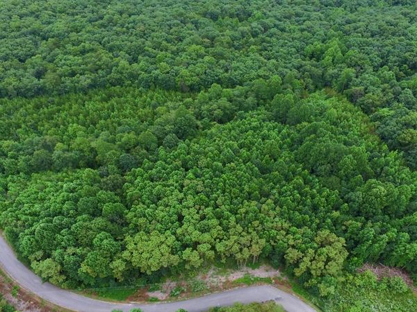 292 Overlook Dr, Spencer, TN 38585