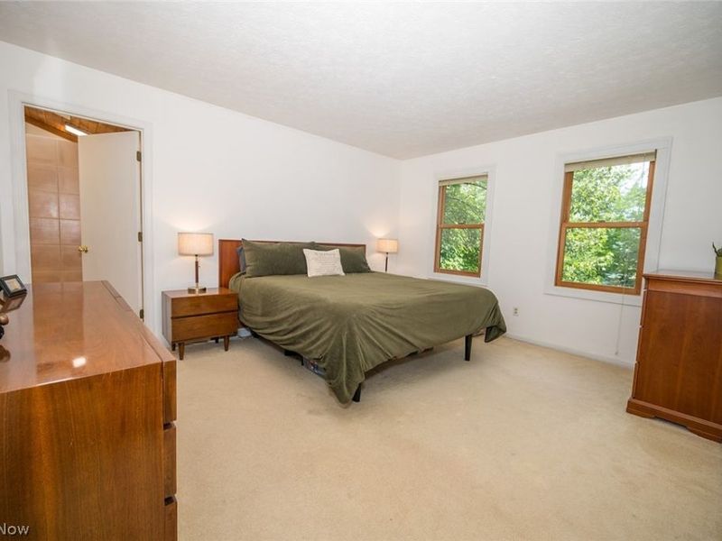 10676 Prouty Road, Concord Township, OH 44077 Photo 43