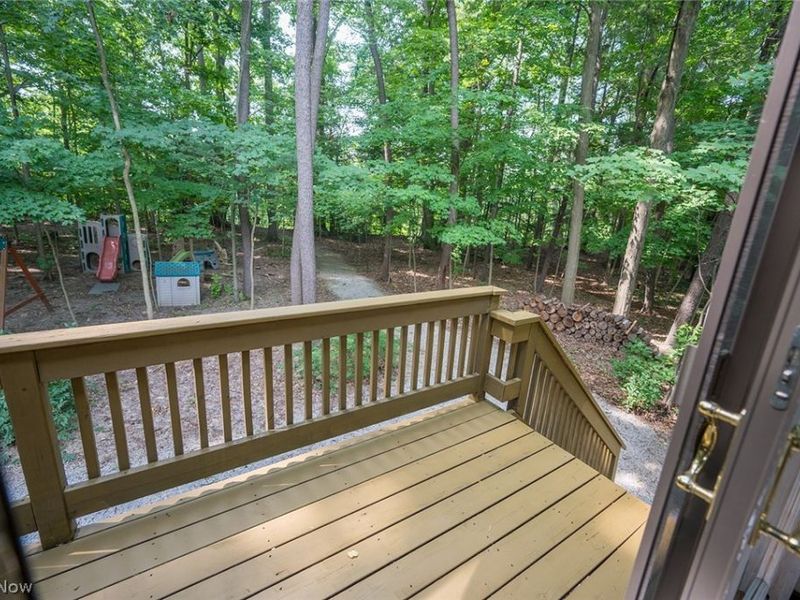 10676 Prouty Road, Concord Township, OH 44077 Photo 46