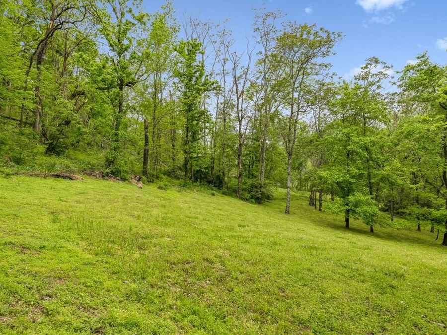 Property Image 60
