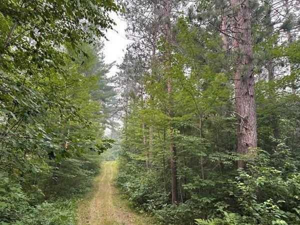 0 Kelly Lake Road, Barnes, WI 54873