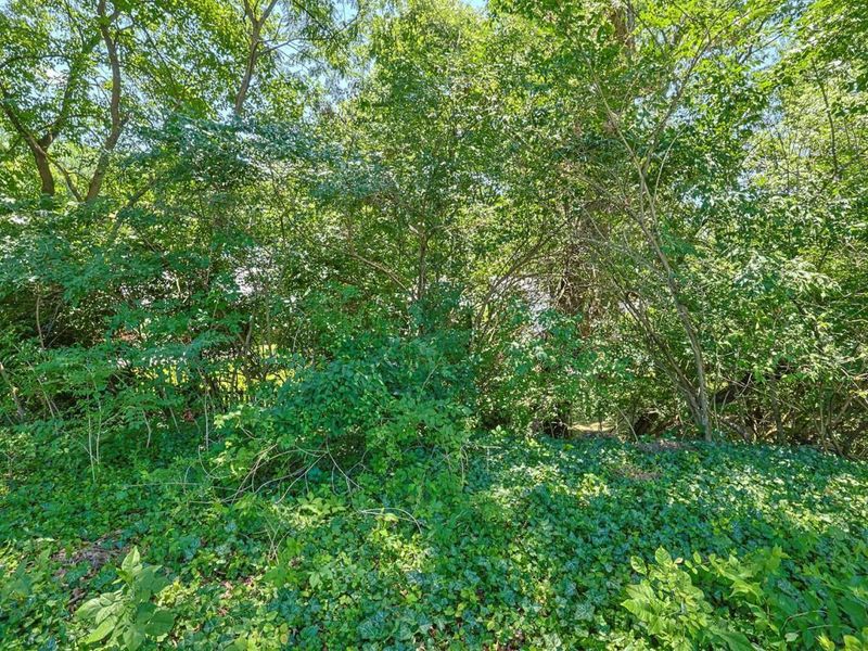 1011 Altavia Avenue, Park Hills, KY 41011 Photo 35