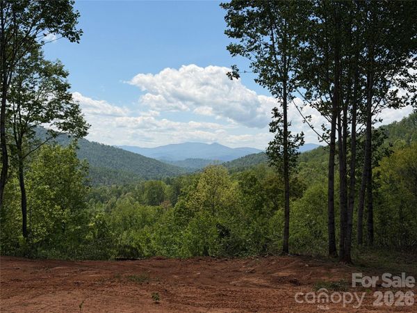 99999 Tipton Lane , Bakersville, NC 28705