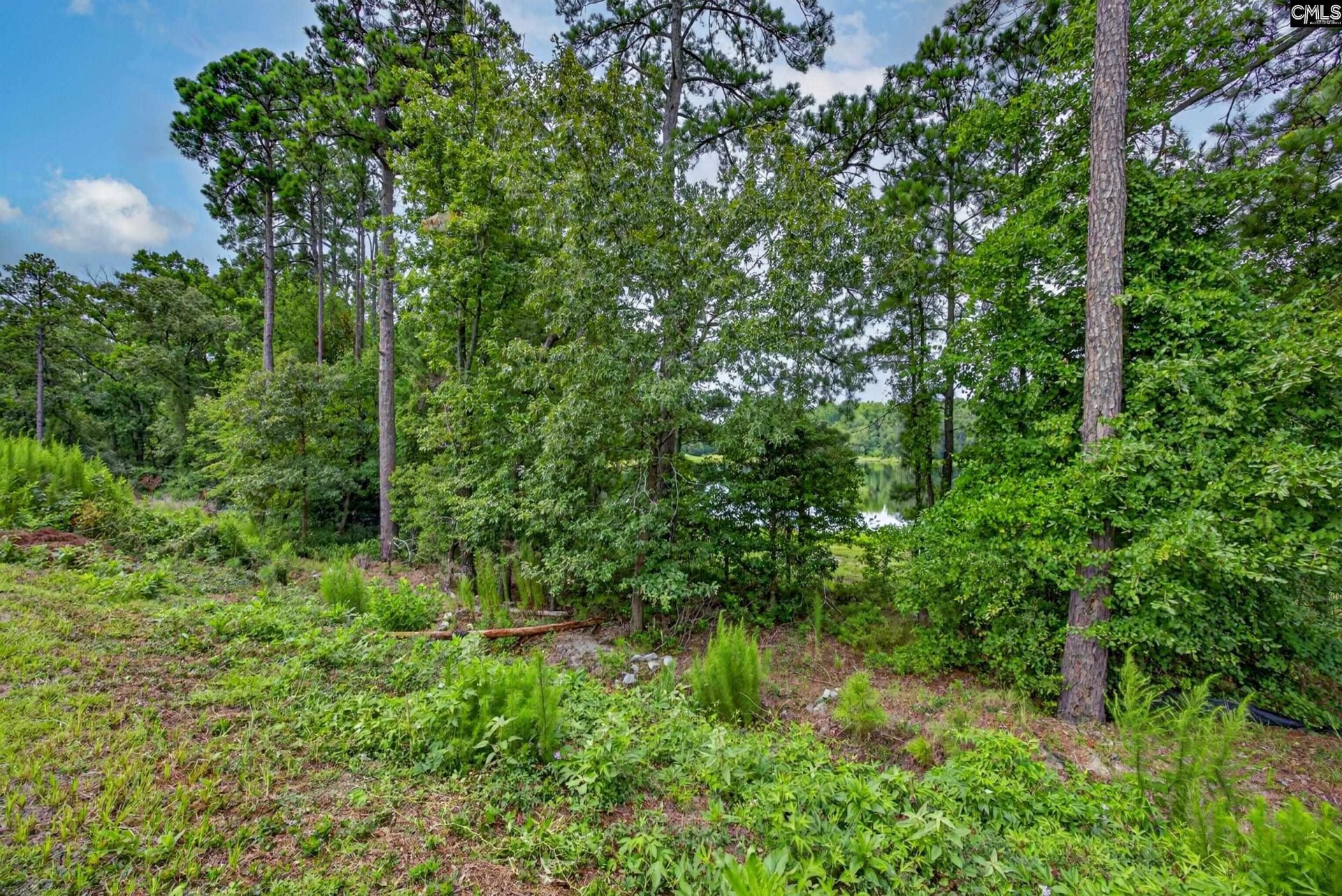 125 Calming Creek Way  Photo 42