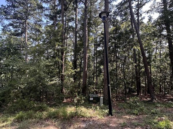 37 Derecho Way, Hot Springs Village, AR 71909