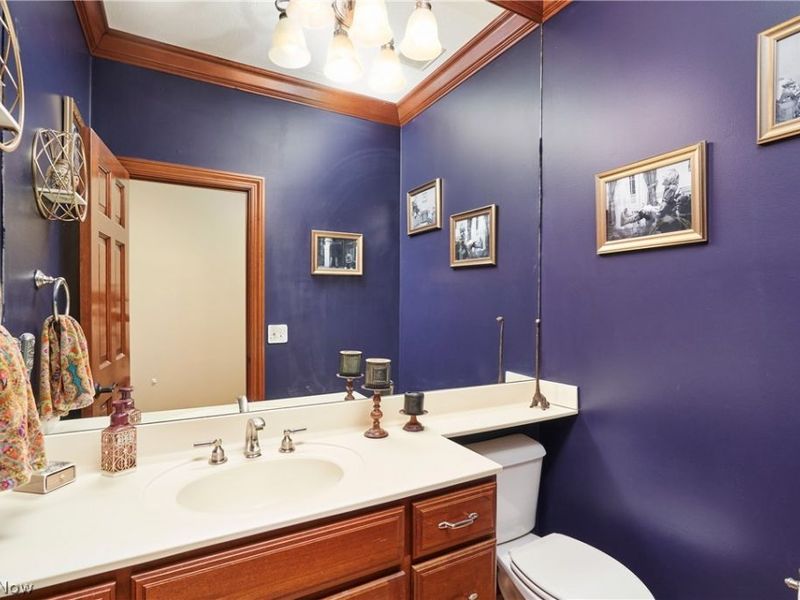 3770 Winterberry Drive, Bath, OH 44333 Photo 23