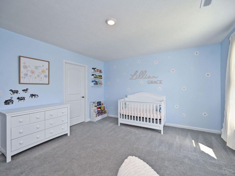 60 Goldfish Lane, Pierce Twp, OH 45102 Photo 26