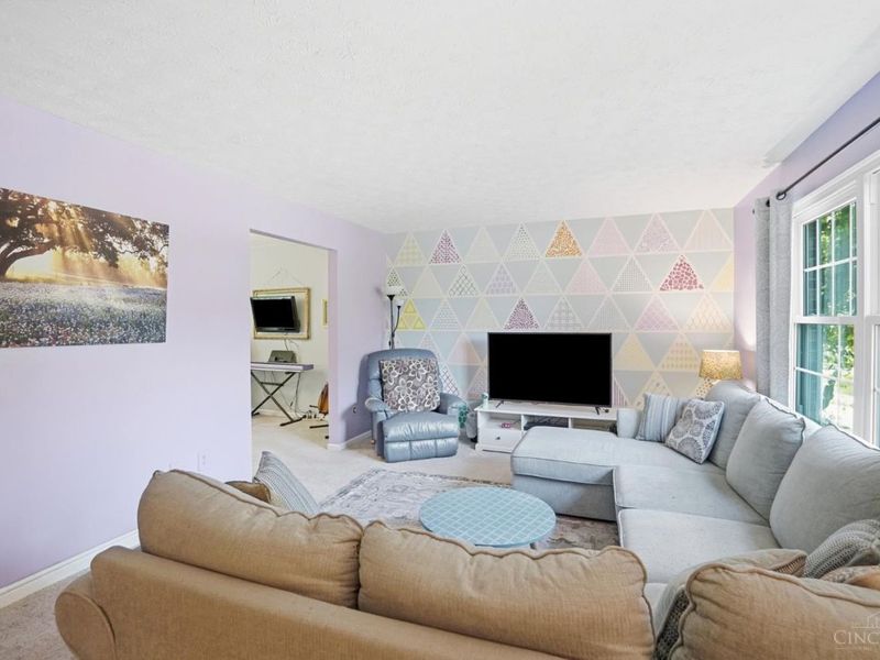 633 Glensprings Drive, Springdale, OH 45246 Photo 6