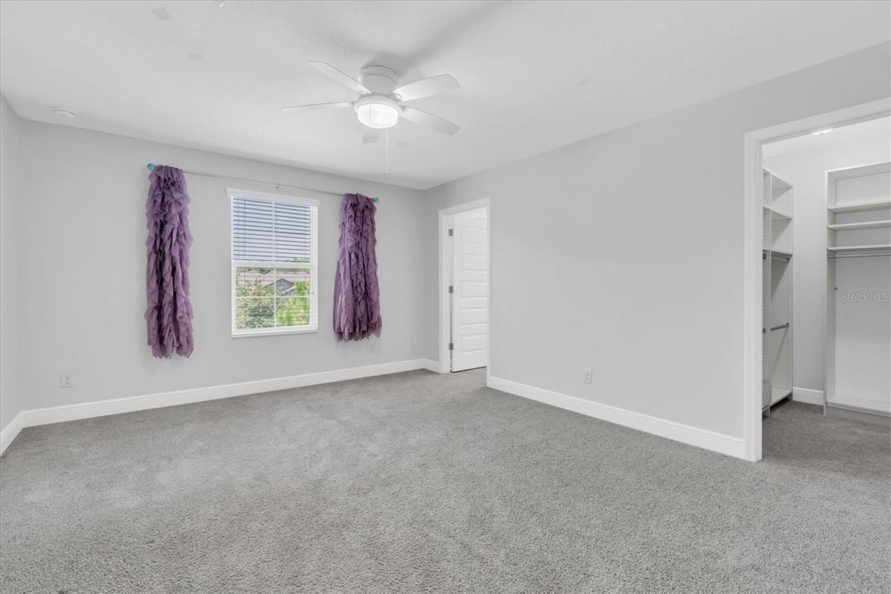 11736 Ranchers Gap Drive, Odessa, FL 33556 Photo