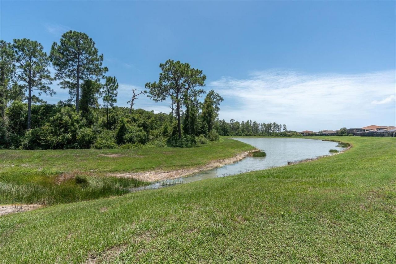 11736 Ranchers Gap Drive, Odessa, FL 33556 Photo