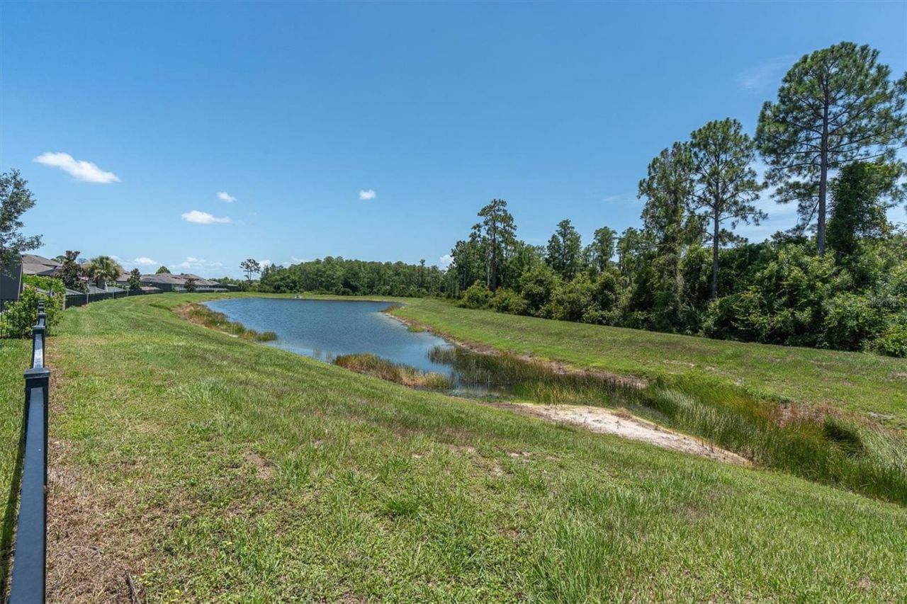 11736 Ranchers Gap Drive, Odessa, FL 33556 Photo