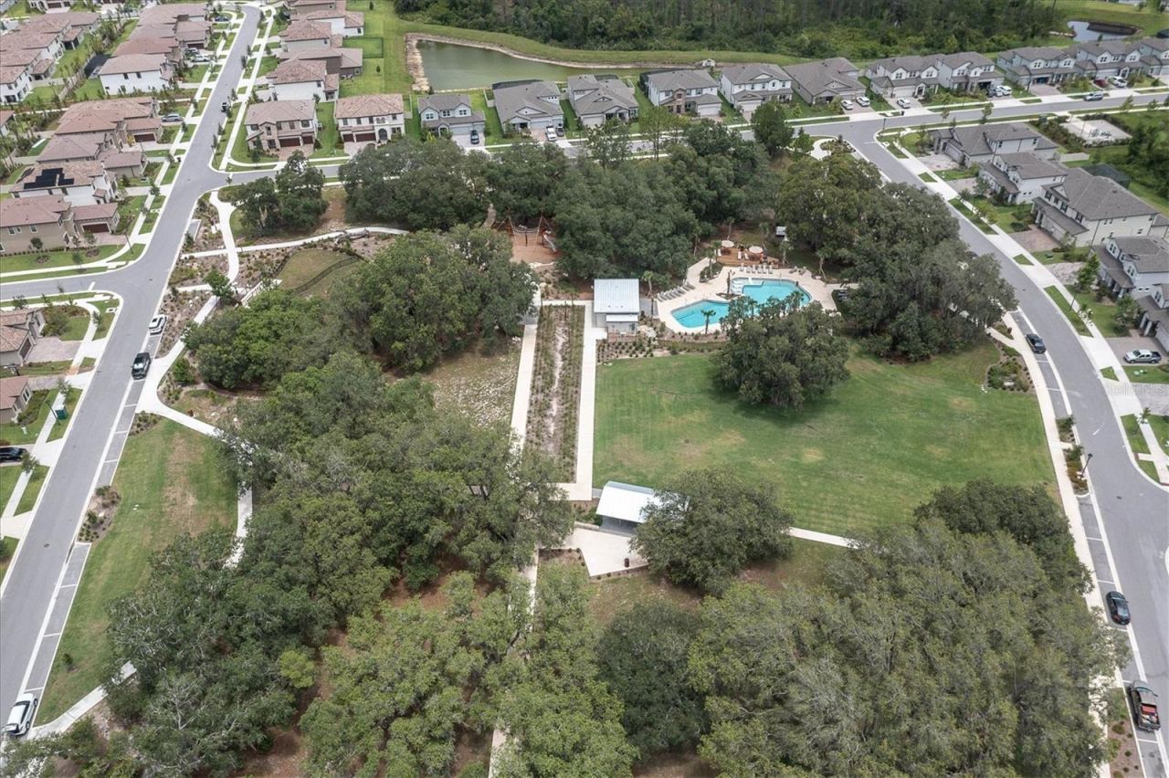 11736 Ranchers Gap Drive, Odessa, FL 33556 Photo
