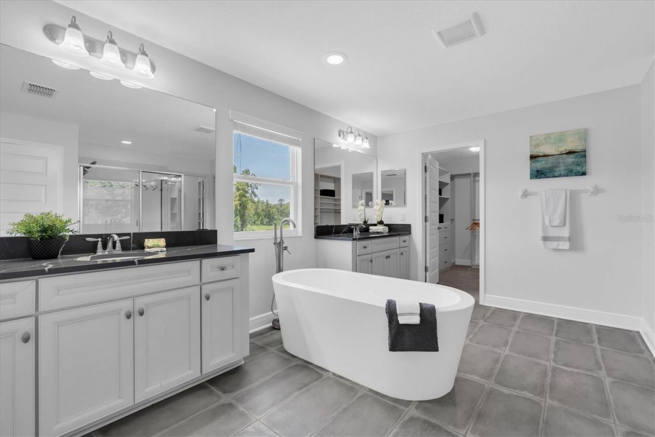 11736 Ranchers Gap Drive, Odessa, FL 33556 Photo