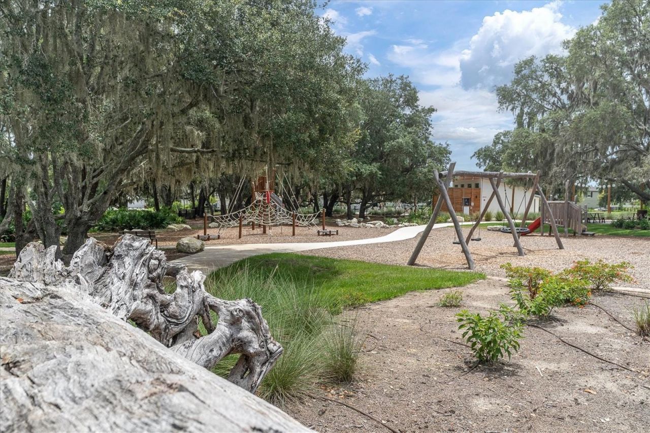 11736 Ranchers Gap Drive, Odessa, FL 33556 Photo