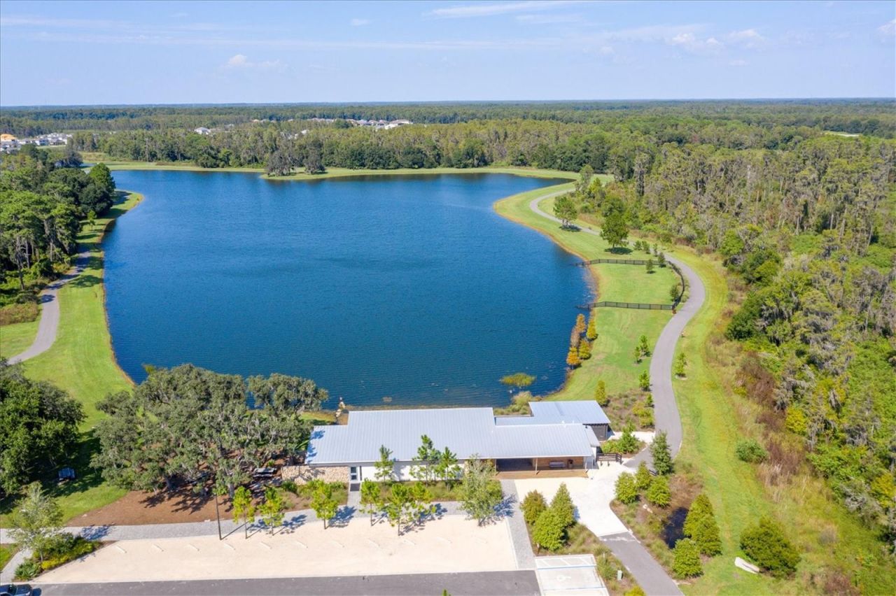 11736 Ranchers Gap Drive, Odessa, FL 33556 Photo