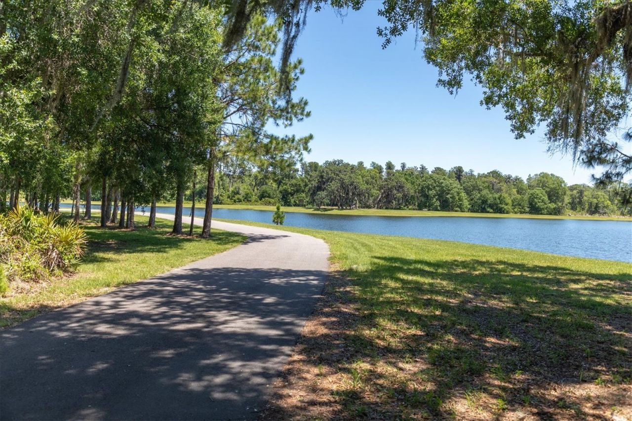 11736 Ranchers Gap Drive, Odessa, FL 33556 Photo