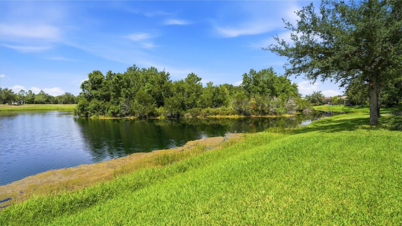 11352 White Rock Terrace, Bradenton, FL 34211 Photo