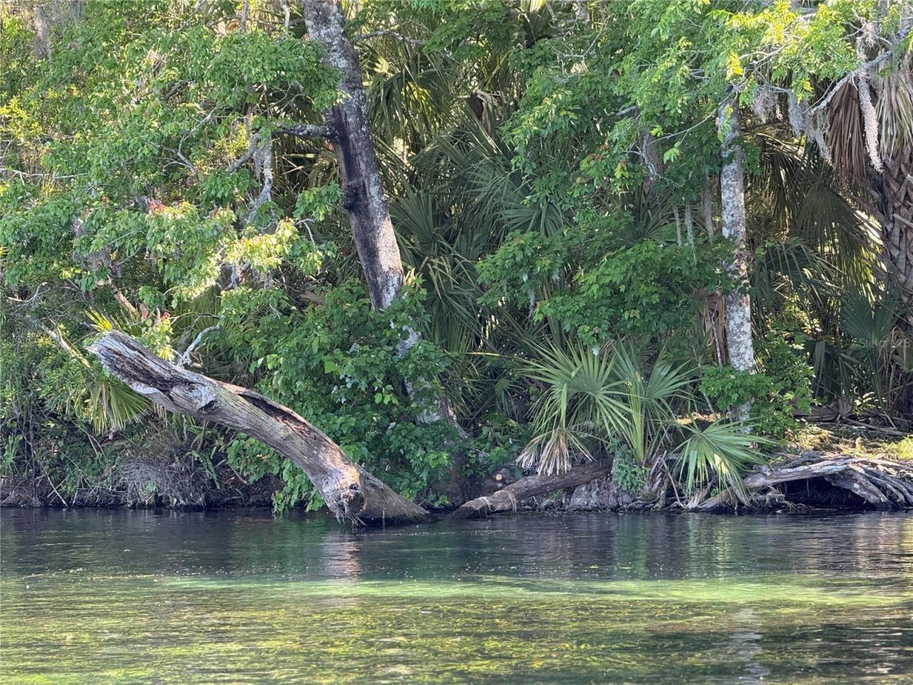 19331 SW 100th Loop , Dunnellon, FL 34432 Photo