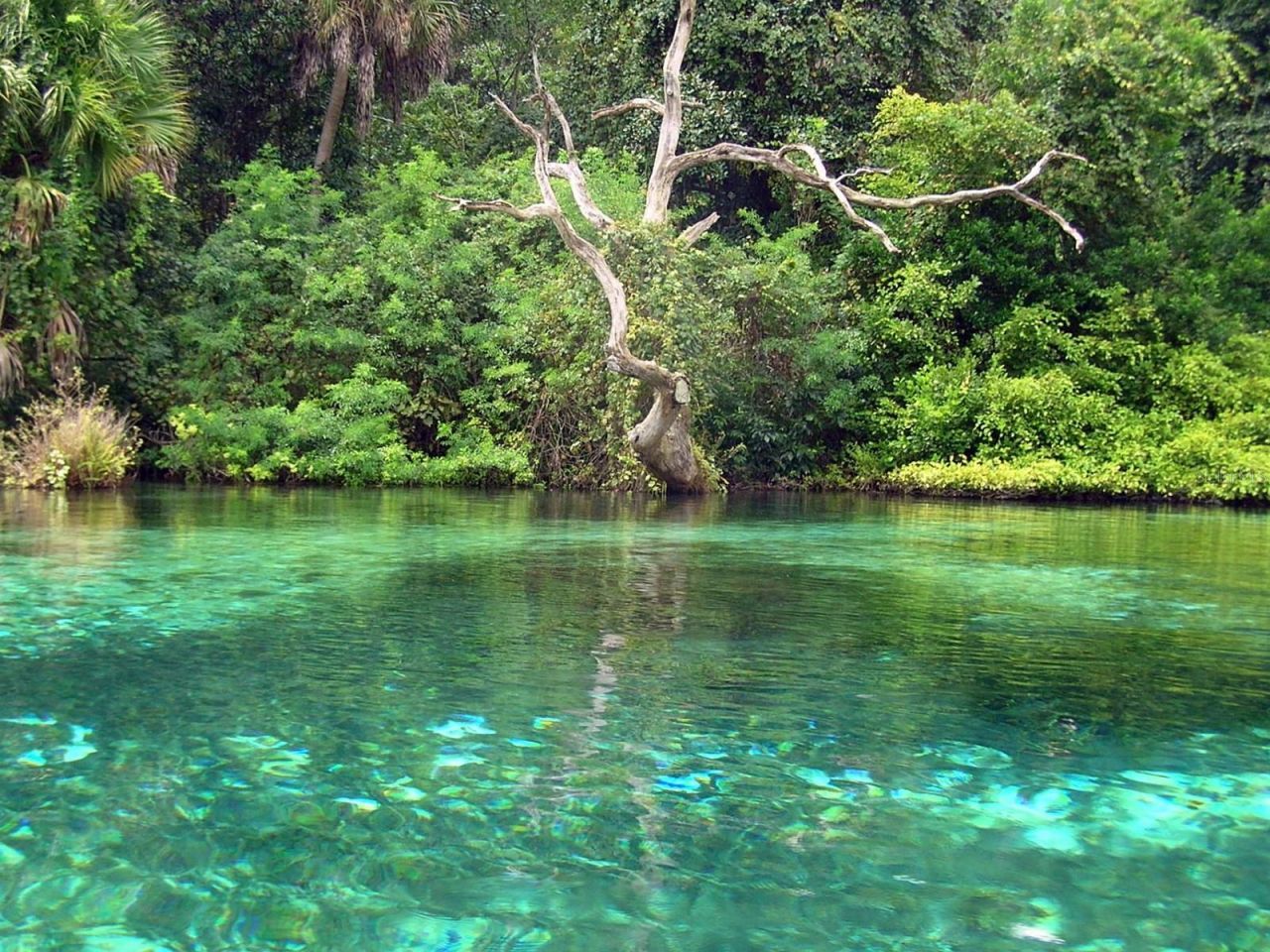 19331 SW 100th Loop , Dunnellon, FL 34432 Photo