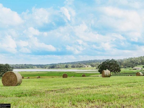 COVINGTON ROAD , DADE CITY, FL 33525