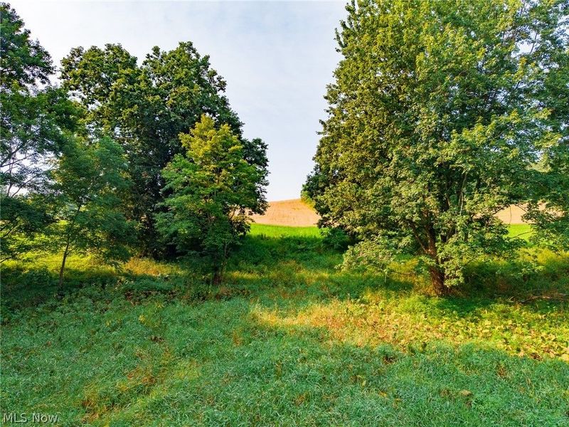 Stone Ave, Navarre, OH 44662 Photo 14
