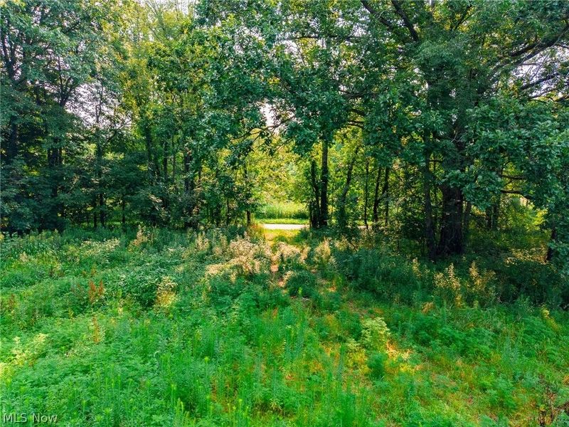 Stone Ave, Navarre, OH 44662 Photo 21