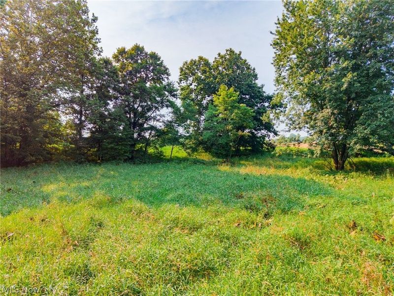 Stone Ave, Navarre, OH 44662 Photo 30