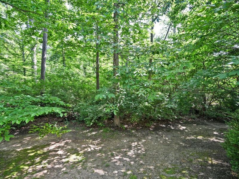 8100 Chinquapin Lane, Indian Hill, OH 45243 Photo 59