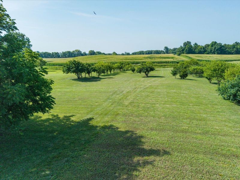 1788 Hidy Road NW, Jeffersonville, OH 43128 Photo 63