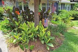 132 Backman Street photo 4
