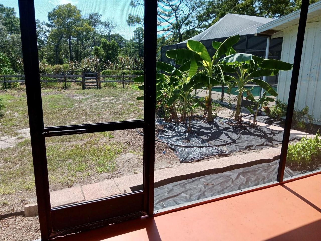 11251 Salina Street, Brooksville, FL 34614 Photo