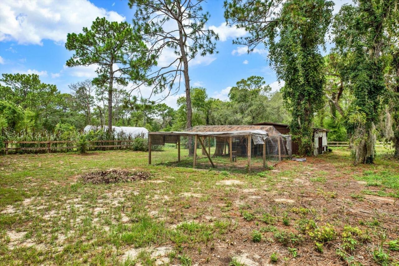 11251 Salina Street, Brooksville, FL 34614 Photo